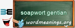 WordMeaning blackboard for soapwort gentian